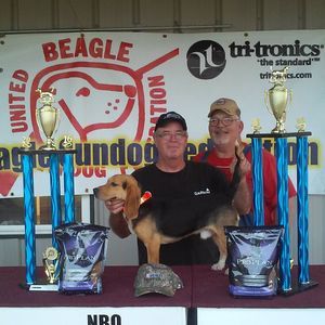 Meet your Posher, Robert